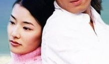 薰衣草电视剧演员表,倾情演绎的爱情传奇，众星云集的演员阵容