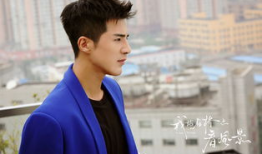 庞瀚辰演的电视剧,情感纠葛与成长蜕变